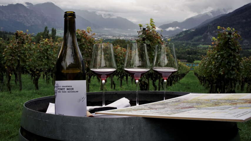Wine Tours Switzerland